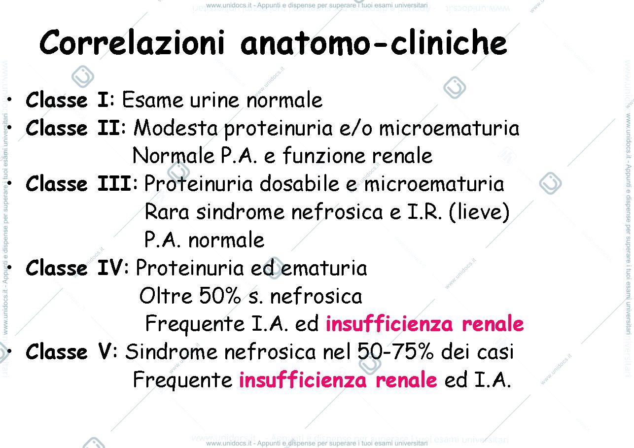 Anteprima pagina 4 — GNsecondarie