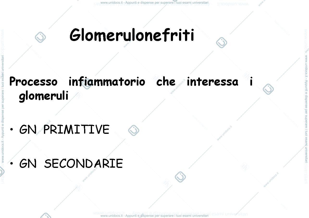 Anteprima pagina 1 — GNprimitive