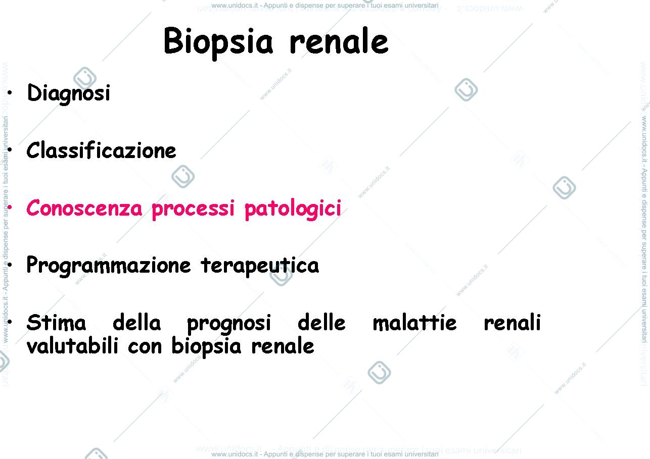 Anteprima pagina 2 — GNprimitive