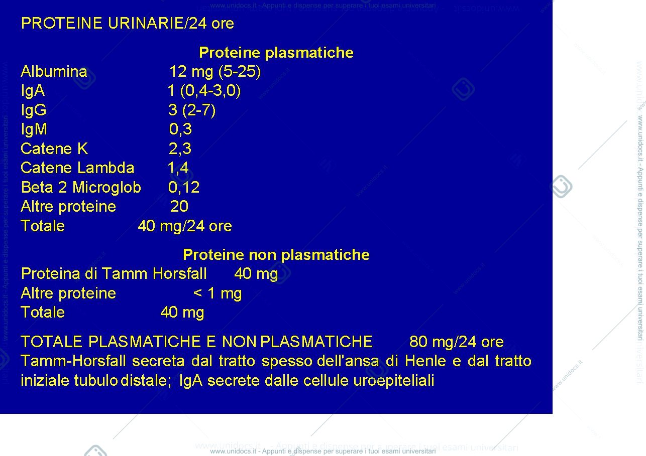 Anteprima pagina 4 — Proteinuria