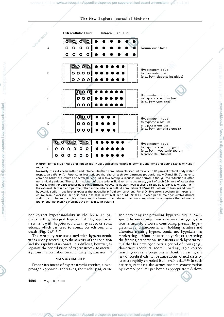 Anteprima pagina 2 — hypernatriemia
