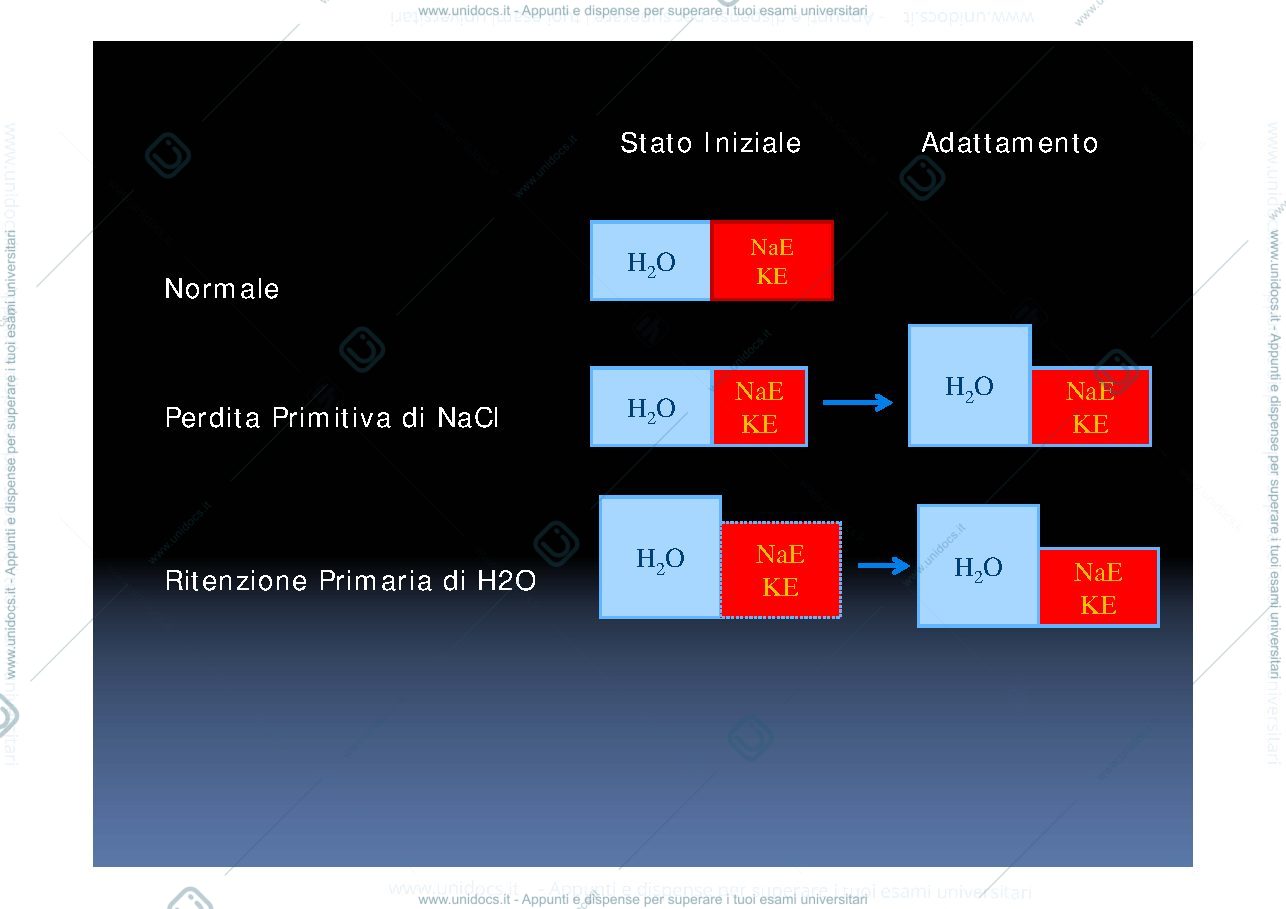 Anteprima pagina 3 — Iponatriemia 
