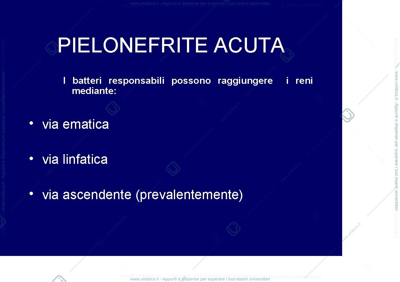 Anteprima pagina 3 — nefrologia