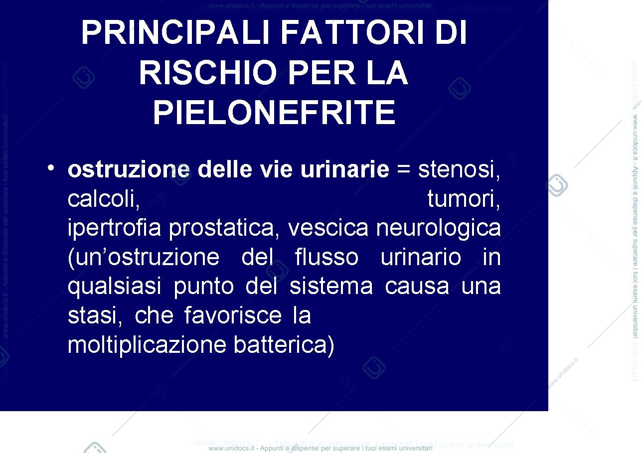 Anteprima pagina 4 — nefrologia