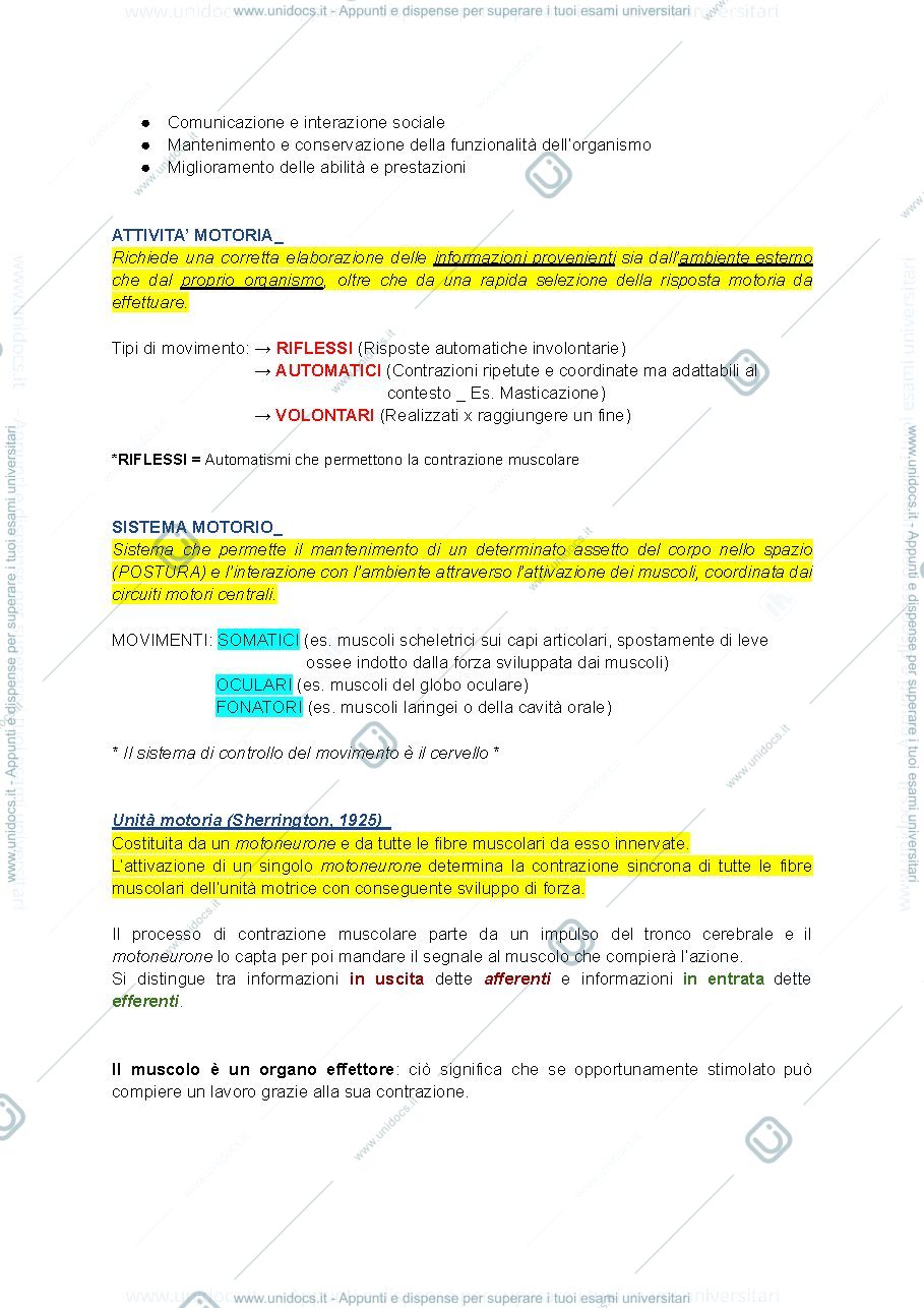 Anteprima pagina 2 — metodologia dell'allenamento 