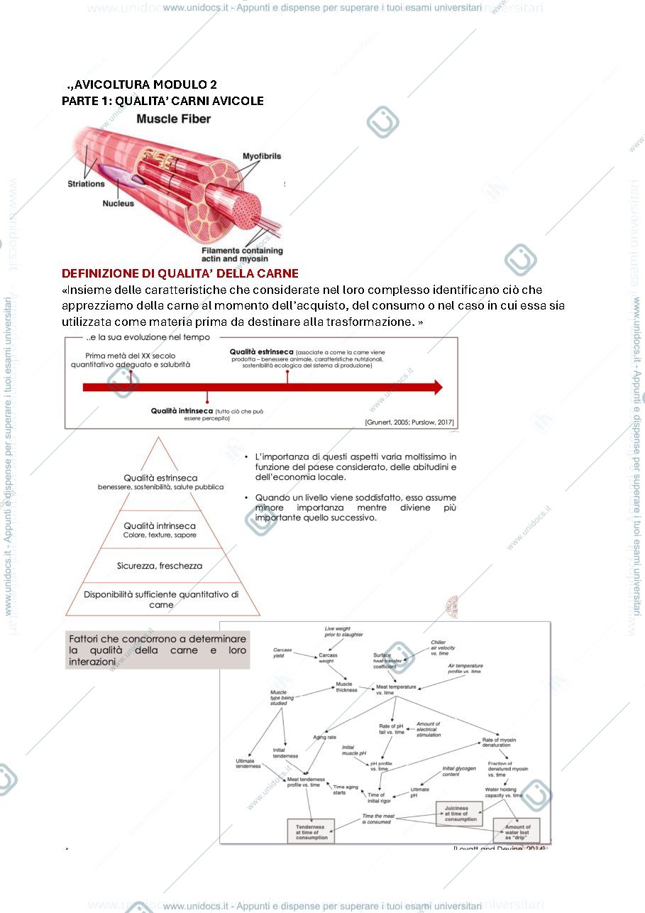 Anteprima pagina 1 — avicoltura