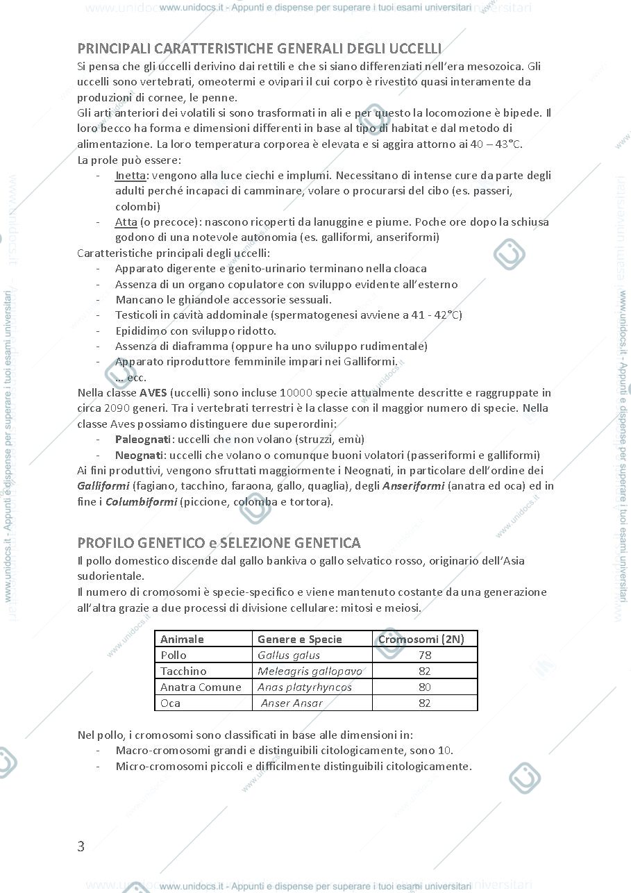 Anteprima pagina 3 — Appunti di Avicoltura 