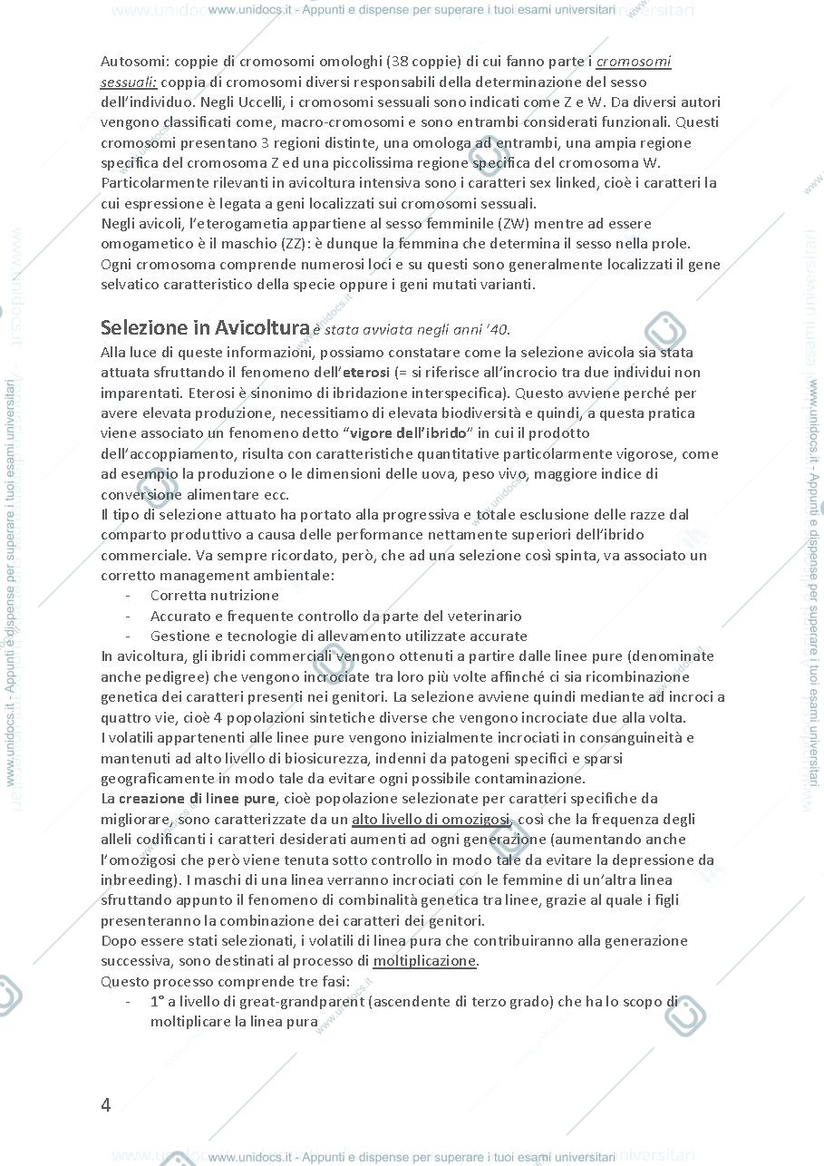 Anteprima pagina 4 — Appunti di Avicoltura 