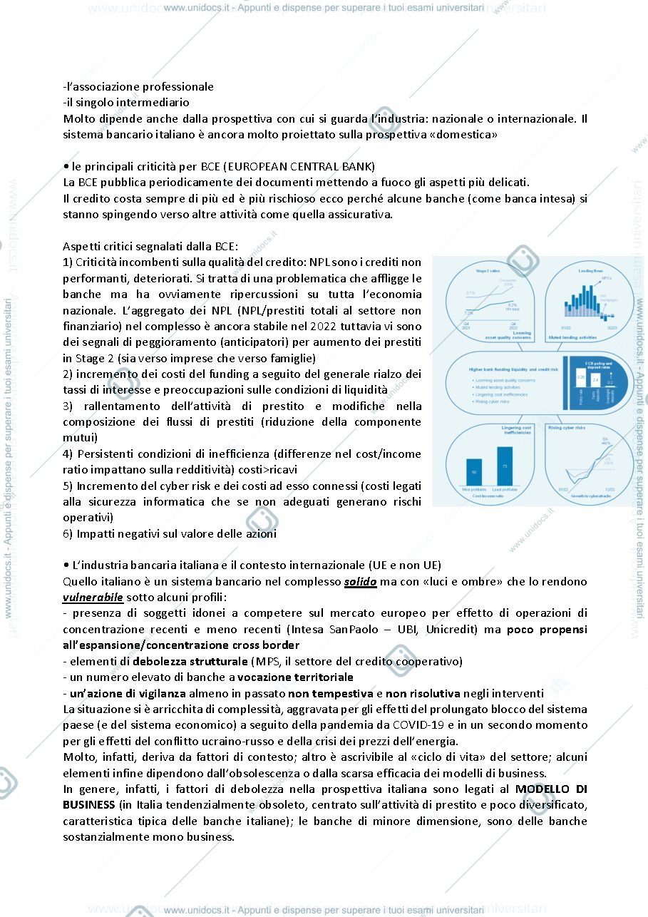 Anteprima pagina 2 — bank management