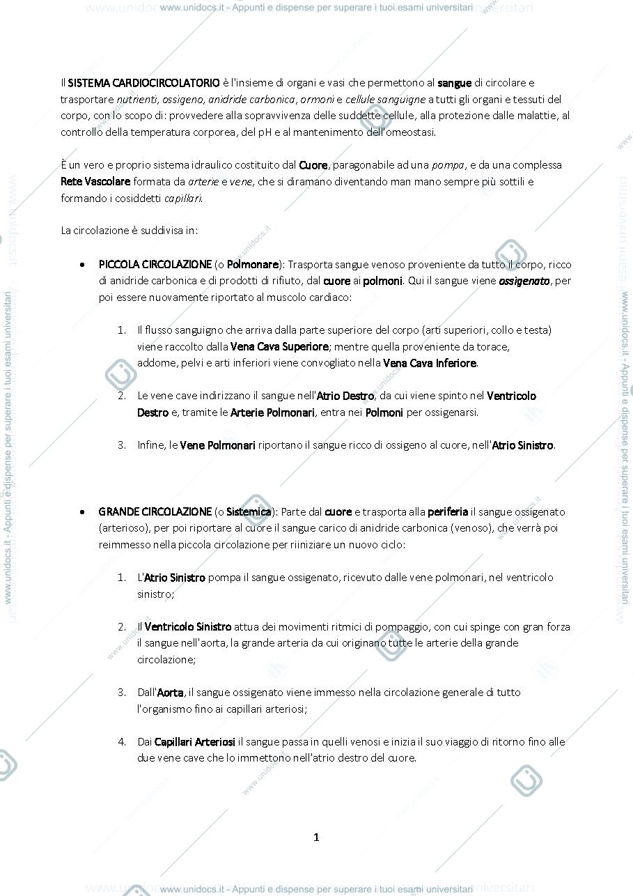 Anteprima pagina 1 — Sistema Cardiovascolare, Cuore ed Elettrocardiogramma