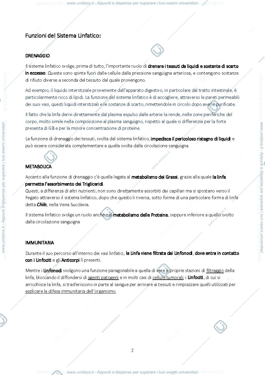 Anteprima pagina 2 — Sistema Linfatico e Immunità 