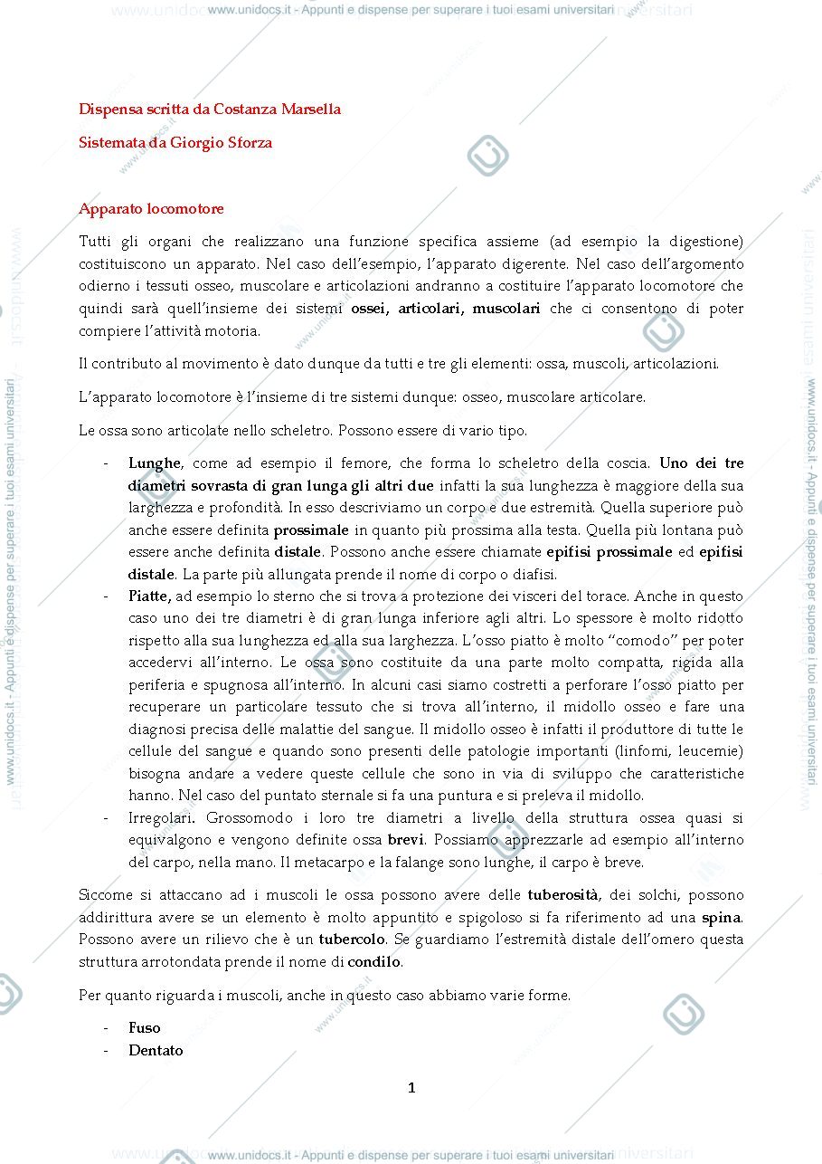 Anteprima pagina 1 — Anatomia