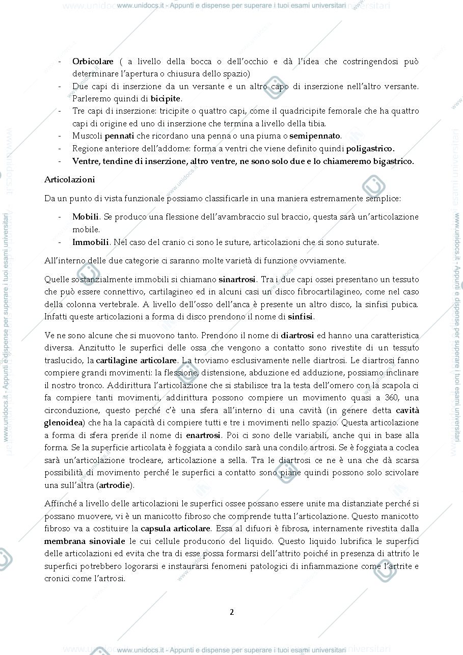 Anteprima pagina 2 — Anatomia