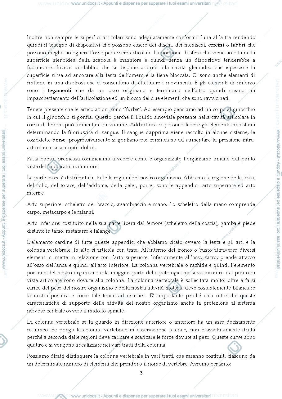 Anteprima pagina 3 — Anatomia