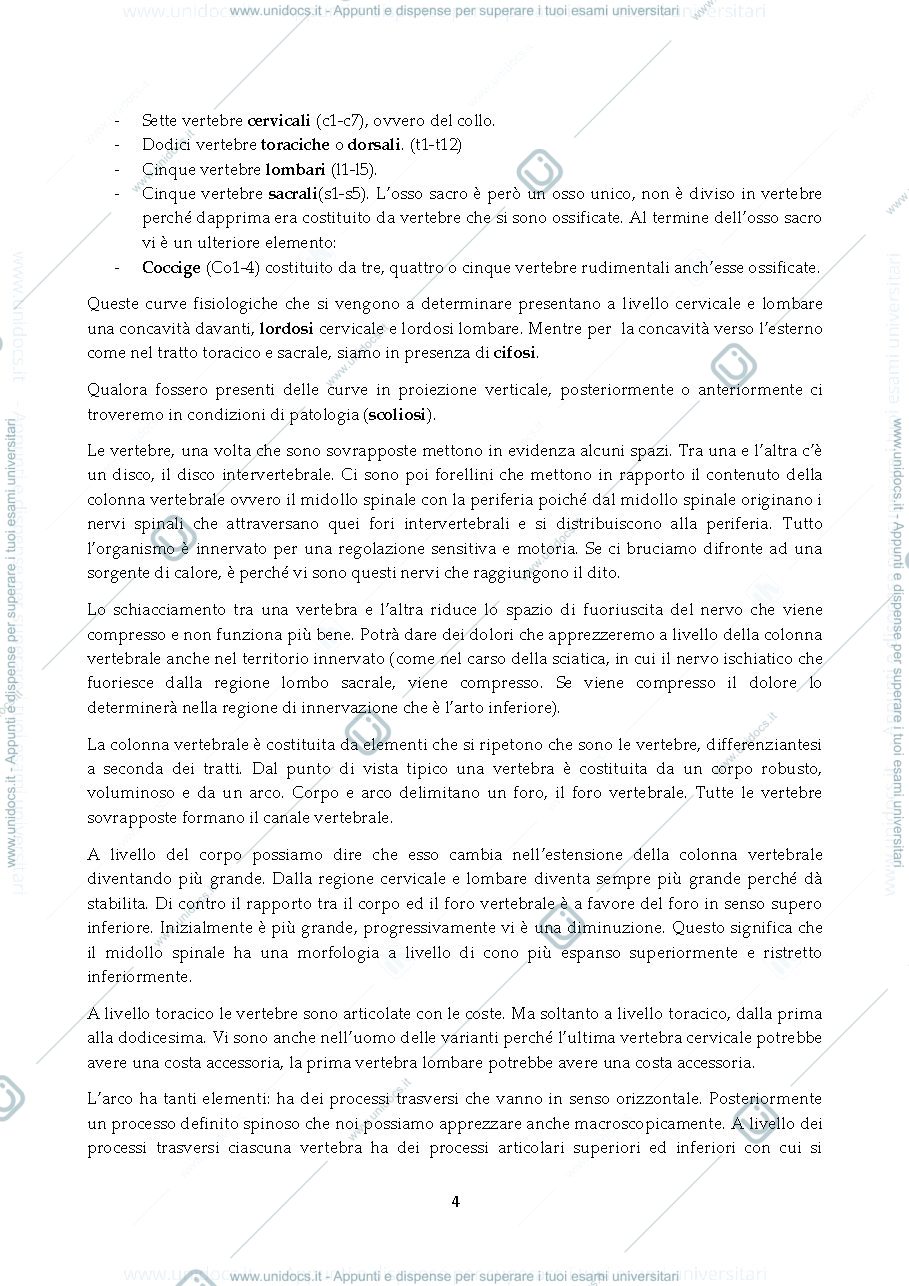 Anteprima pagina 4 — Anatomia