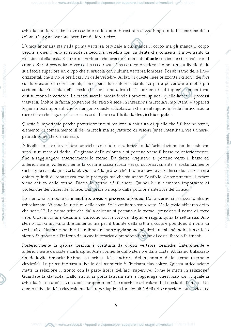 Anteprima pagina 5 — Anatomia