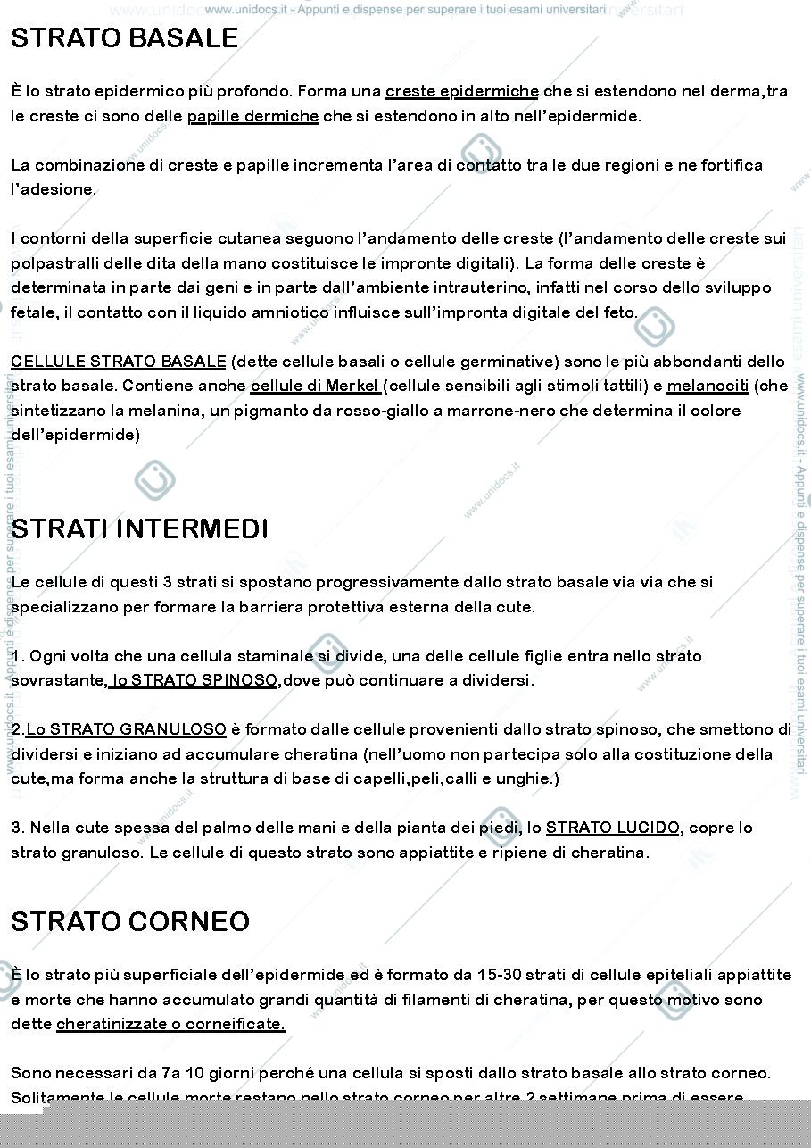 Anteprima pagina 3 — apparato tegumentario 