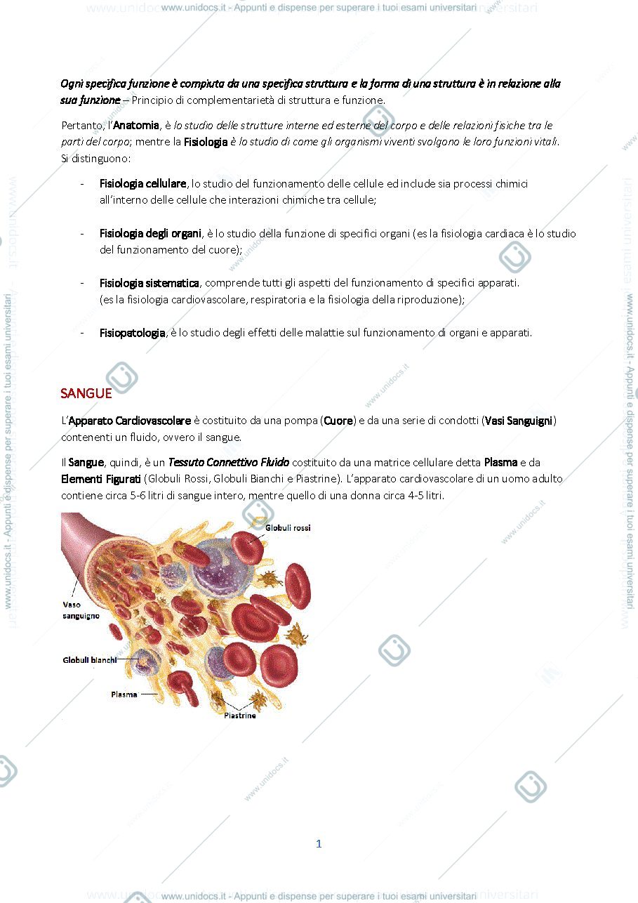 Anteprima pagina 1 — Sangue