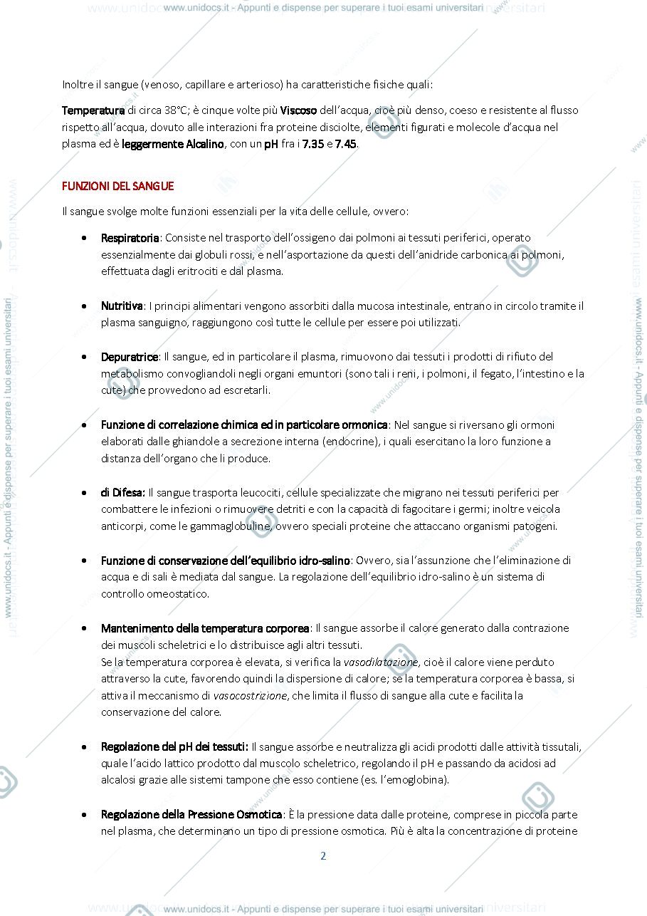Anteprima pagina 2 — Sangue