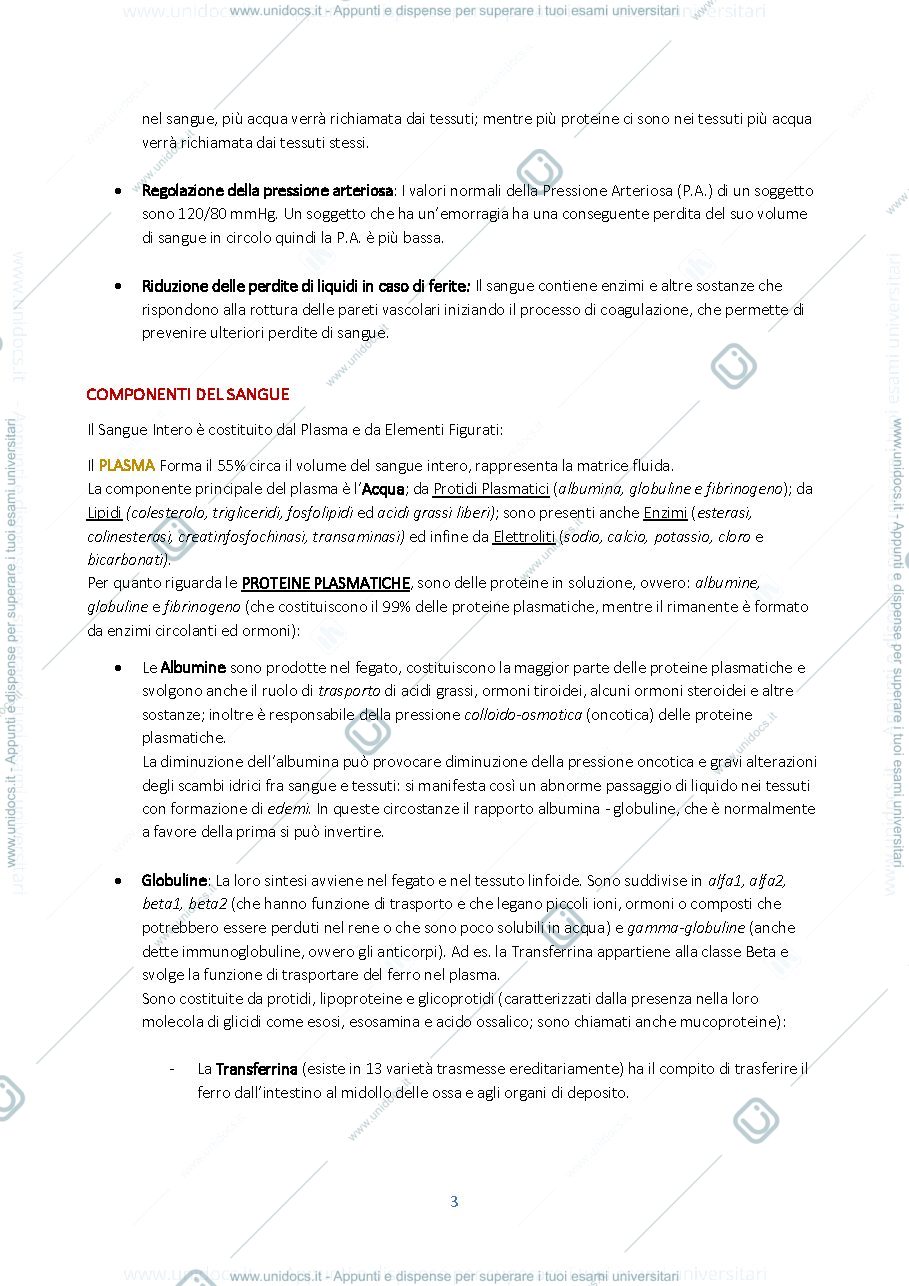 Anteprima pagina 3 — Sangue