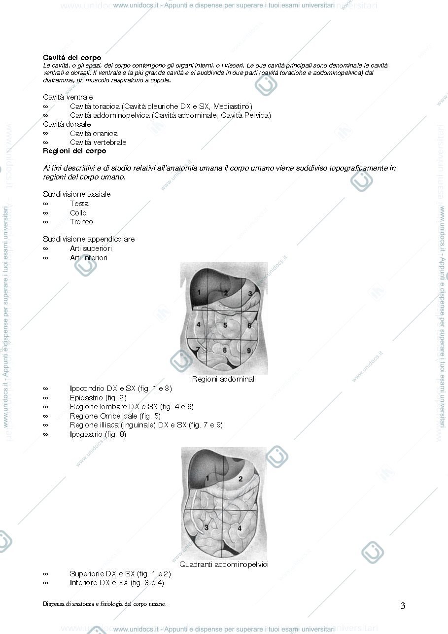 Anteprima pagina 3 — APPUNTI DI ANATOMIA E FISIOLOGIA UMANA