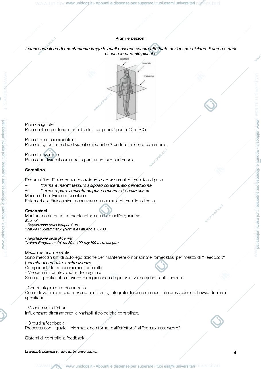 Anteprima pagina 4 — APPUNTI DI ANATOMIA E FISIOLOGIA UMANA