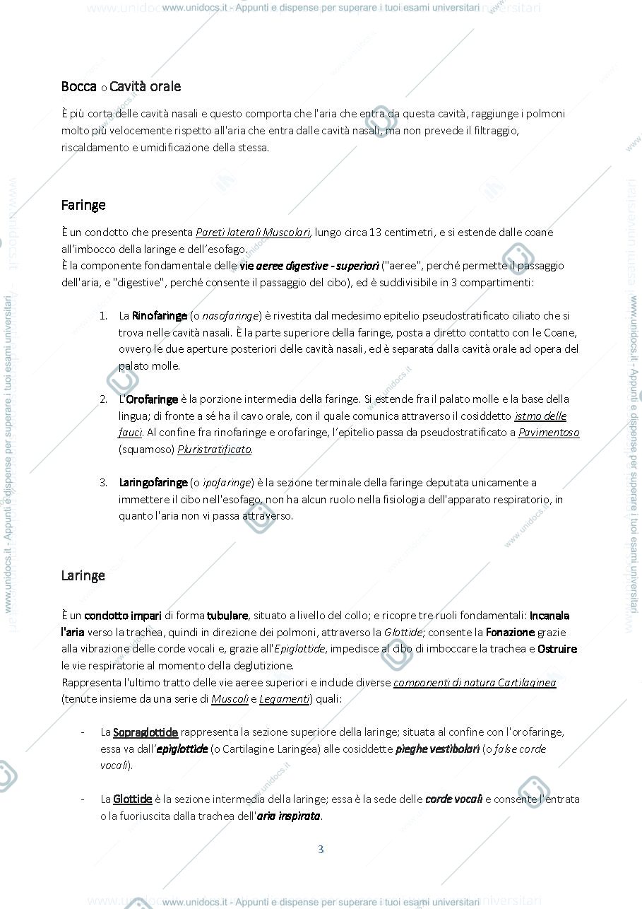 Anteprima pagina 3 — Apparato Respiratorio