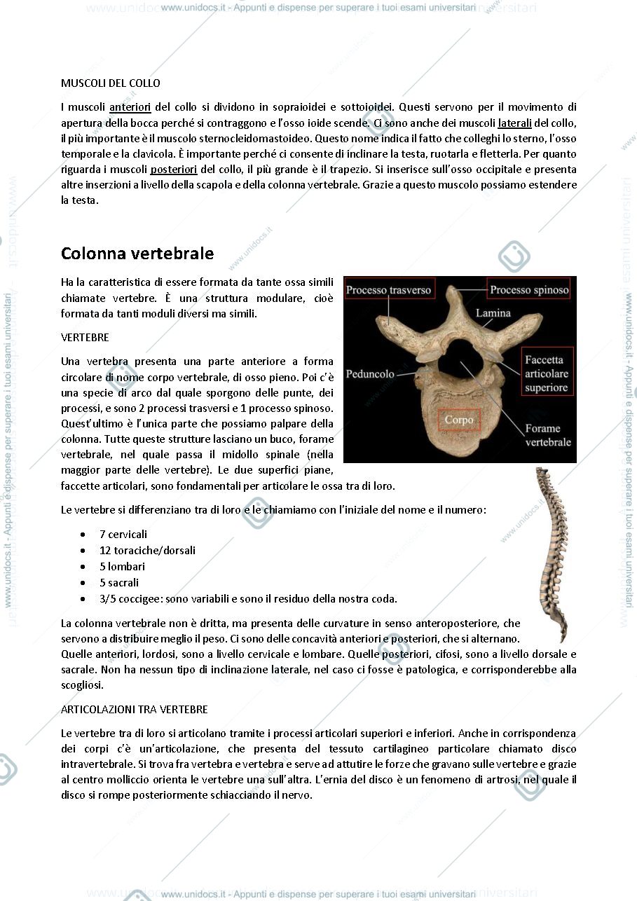 Anteprima pagina 3 — Anatomia umana