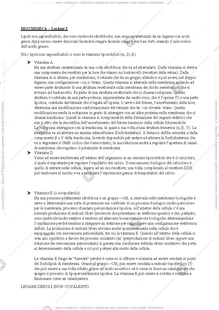Anteprima pagina 1 — i lipidi