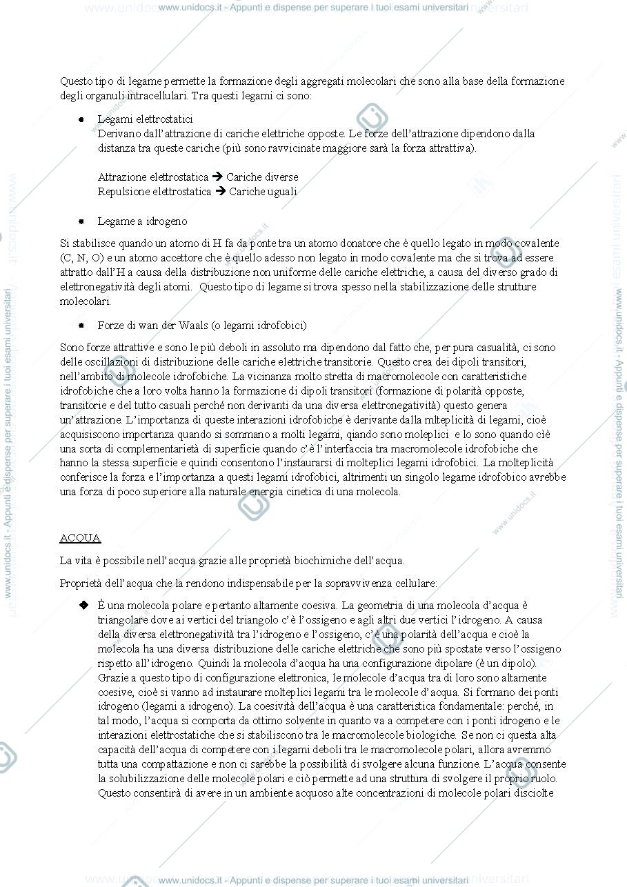 Anteprima pagina 2 — i lipidi