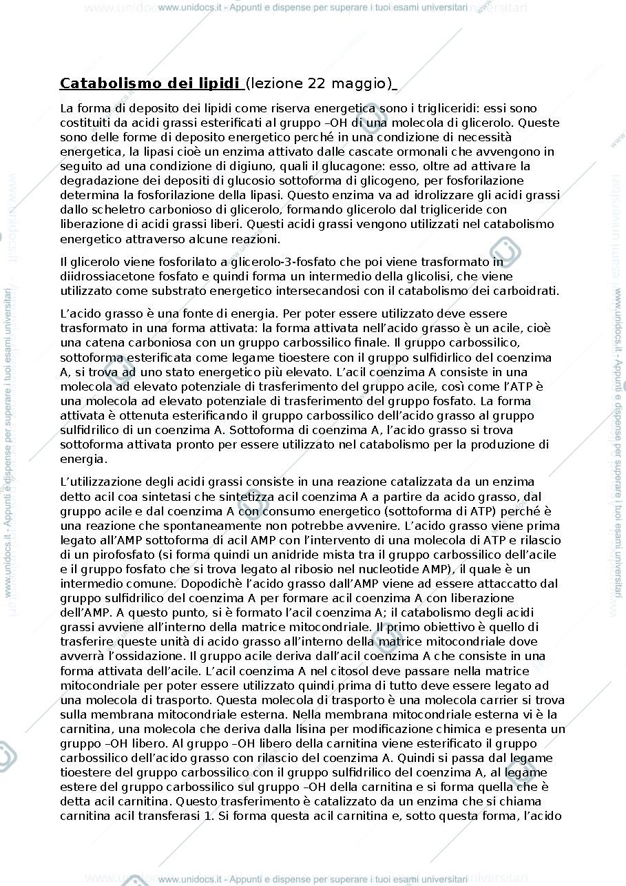 Anteprima pagina 1 — CATABOLISMO DEI LIPIDI