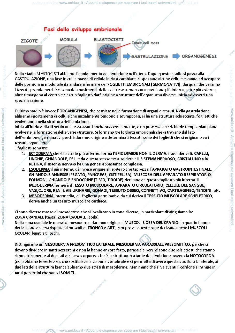 Anteprima pagina 2 — 1-2 biochimica muscolare 