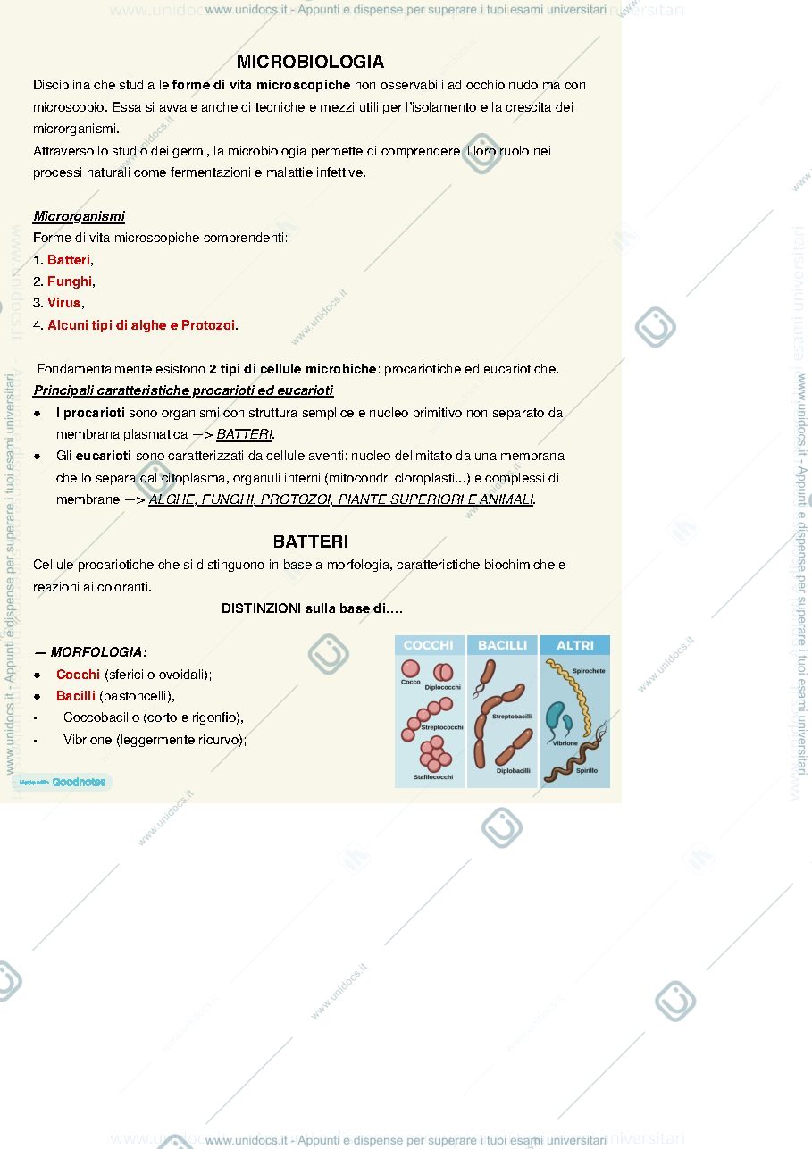 Anteprima pagina 2 — MICROBIOLOGIA