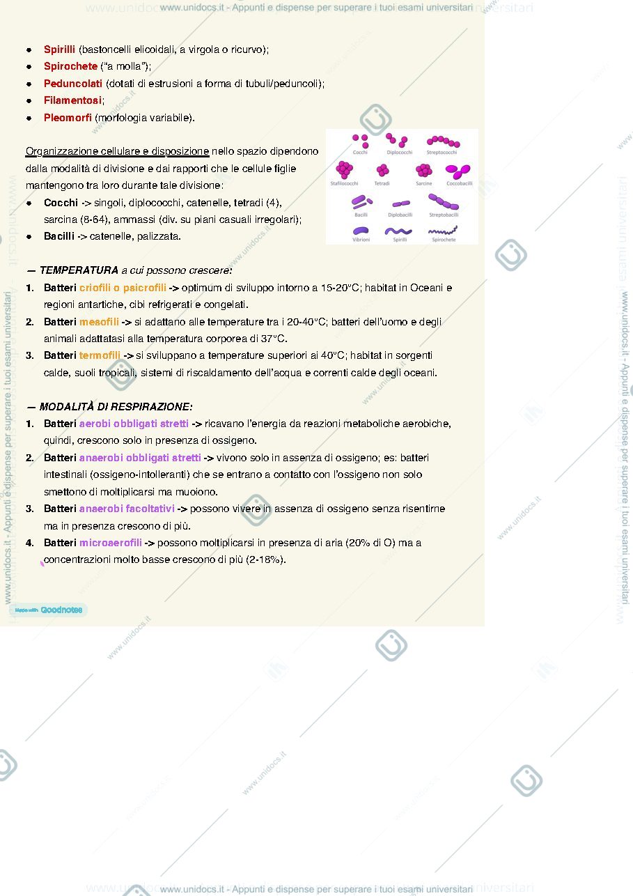 Anteprima pagina 3 — MICROBIOLOGIA