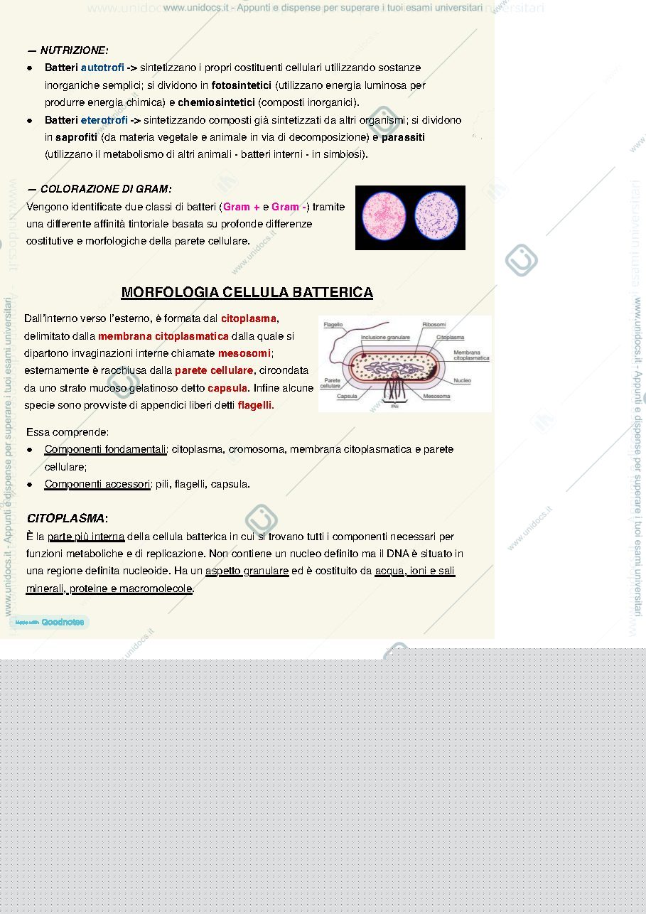 Anteprima pagina 4 — MICROBIOLOGIA