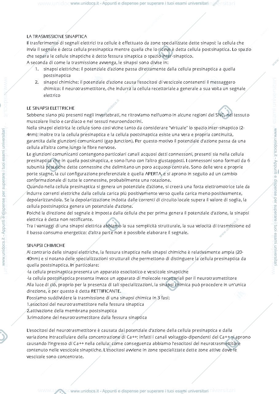 Anteprima pagina 1 — La trasmissione sinaptica