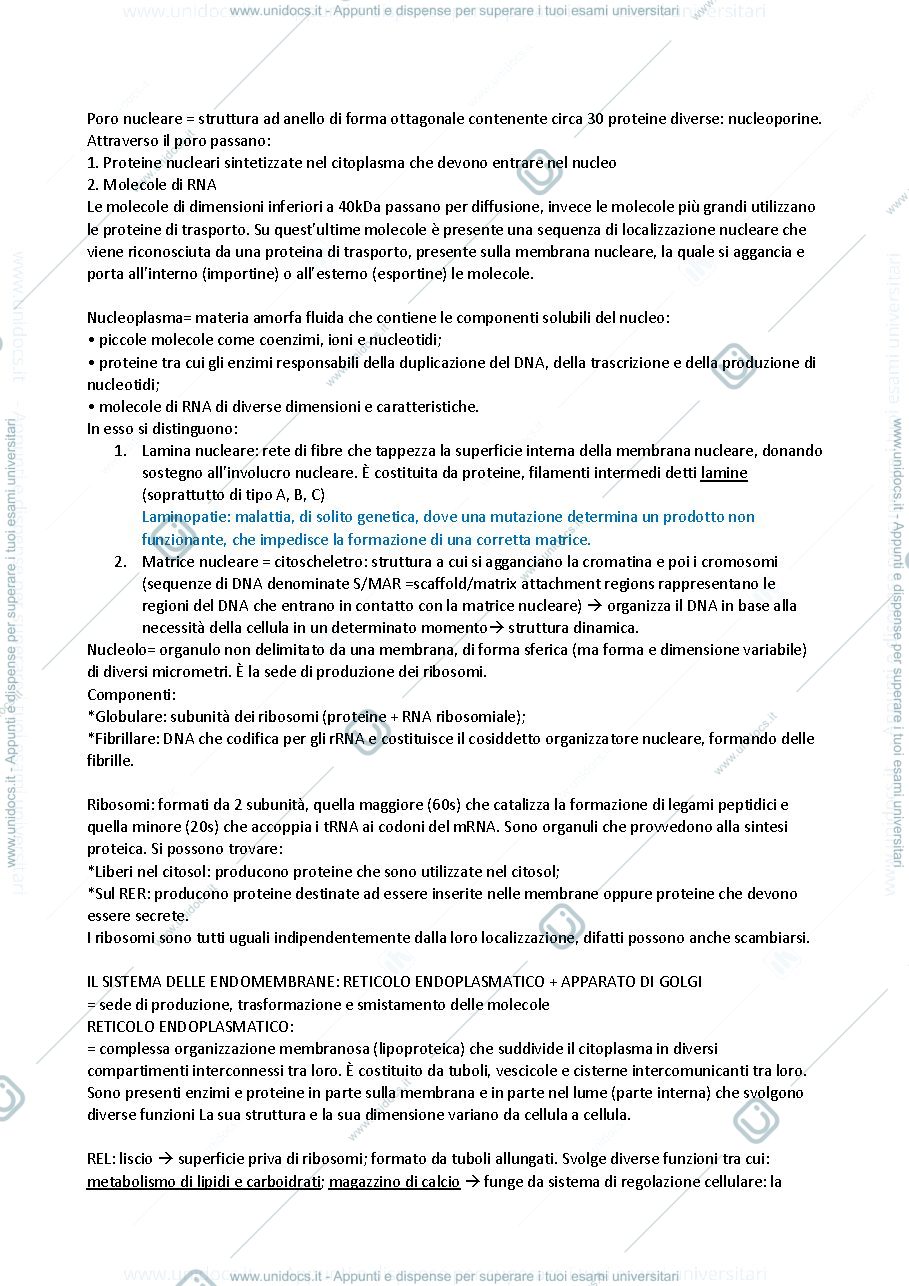 Anteprima pagina 2 — La cellula