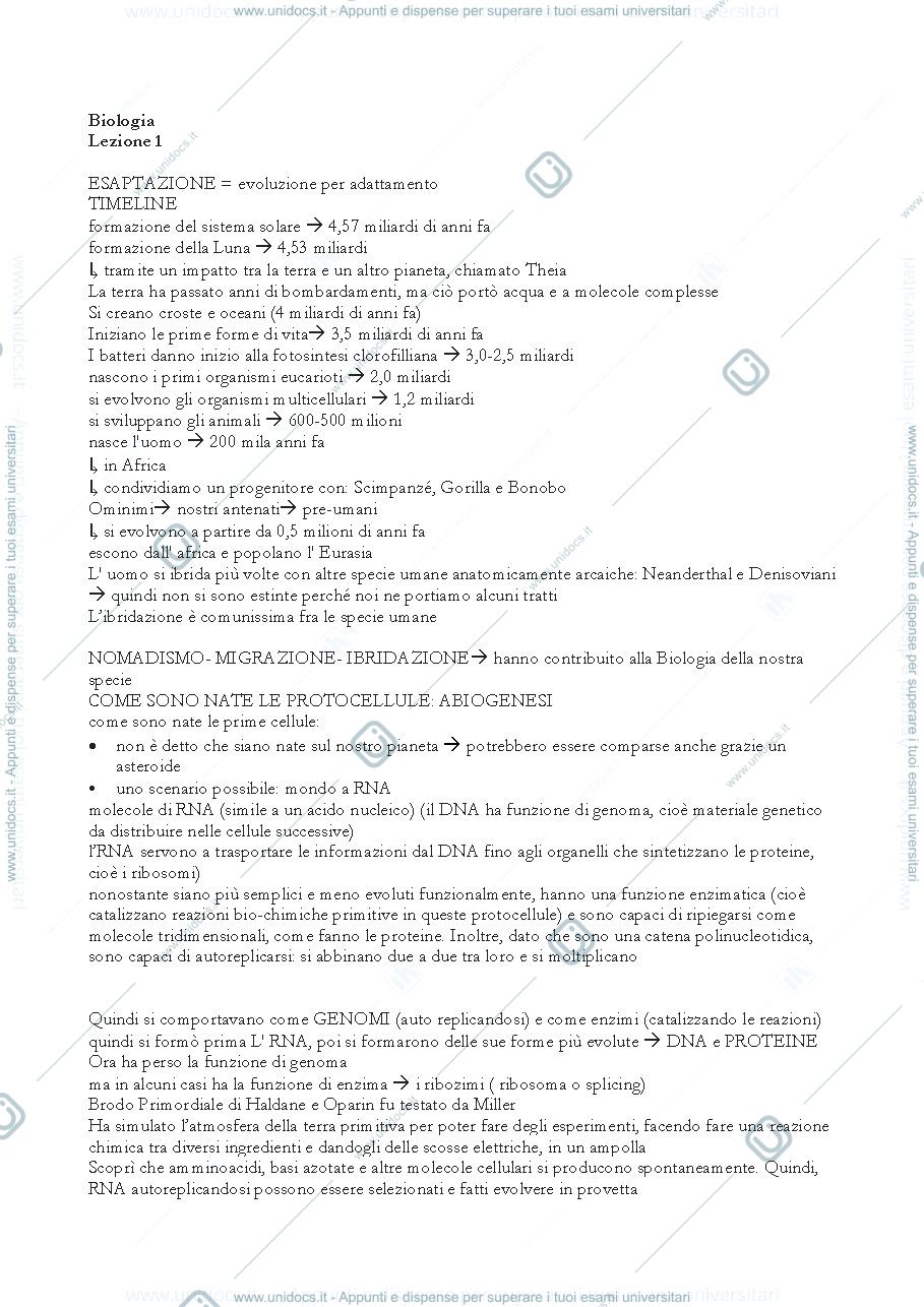 Anteprima pagina 1 — lezione 1-2-3-4
