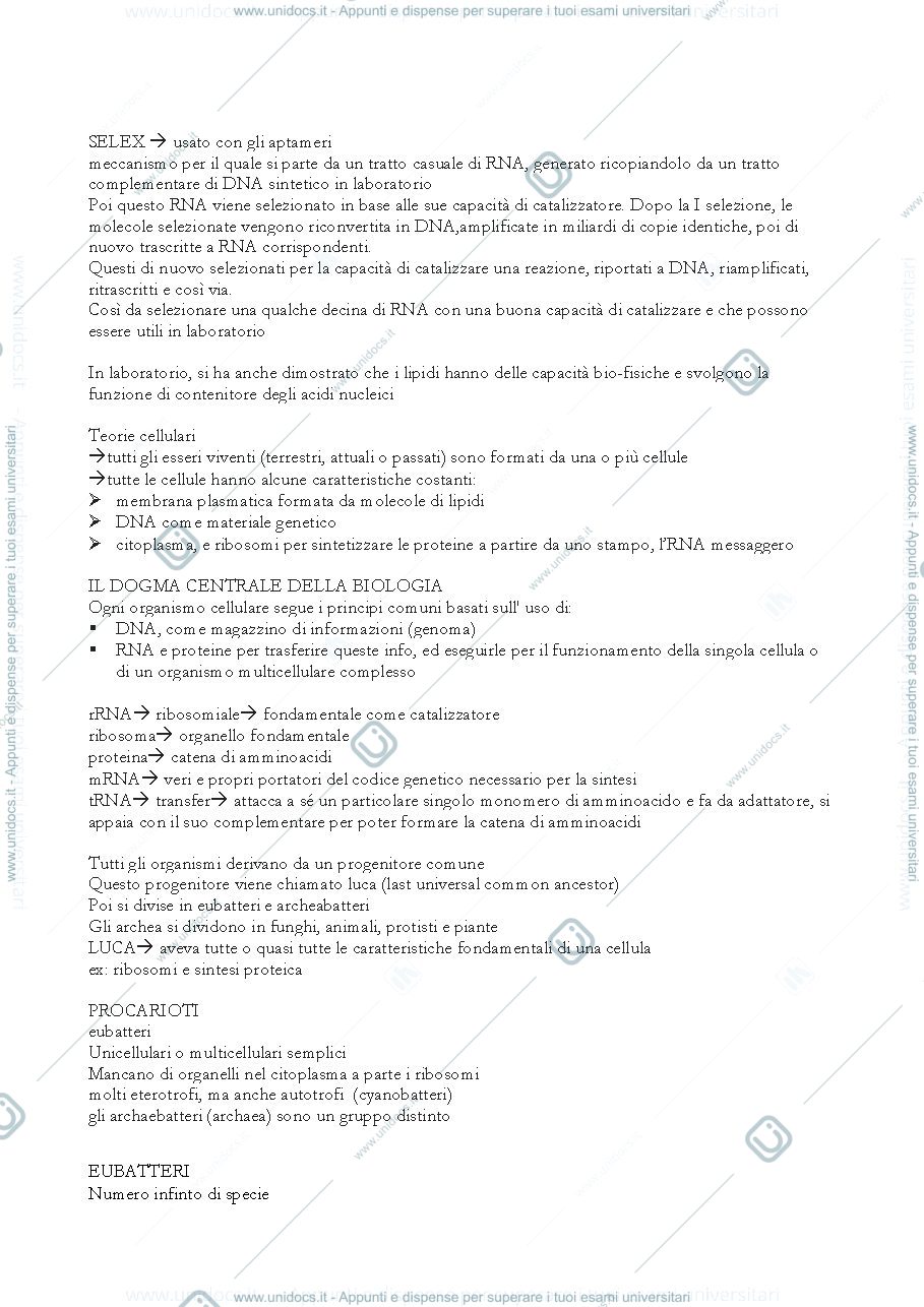 Anteprima pagina 2 — lezione 1-2-3-4
