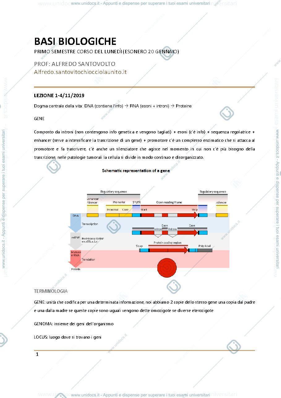Anteprima pagina 1 — biologia
