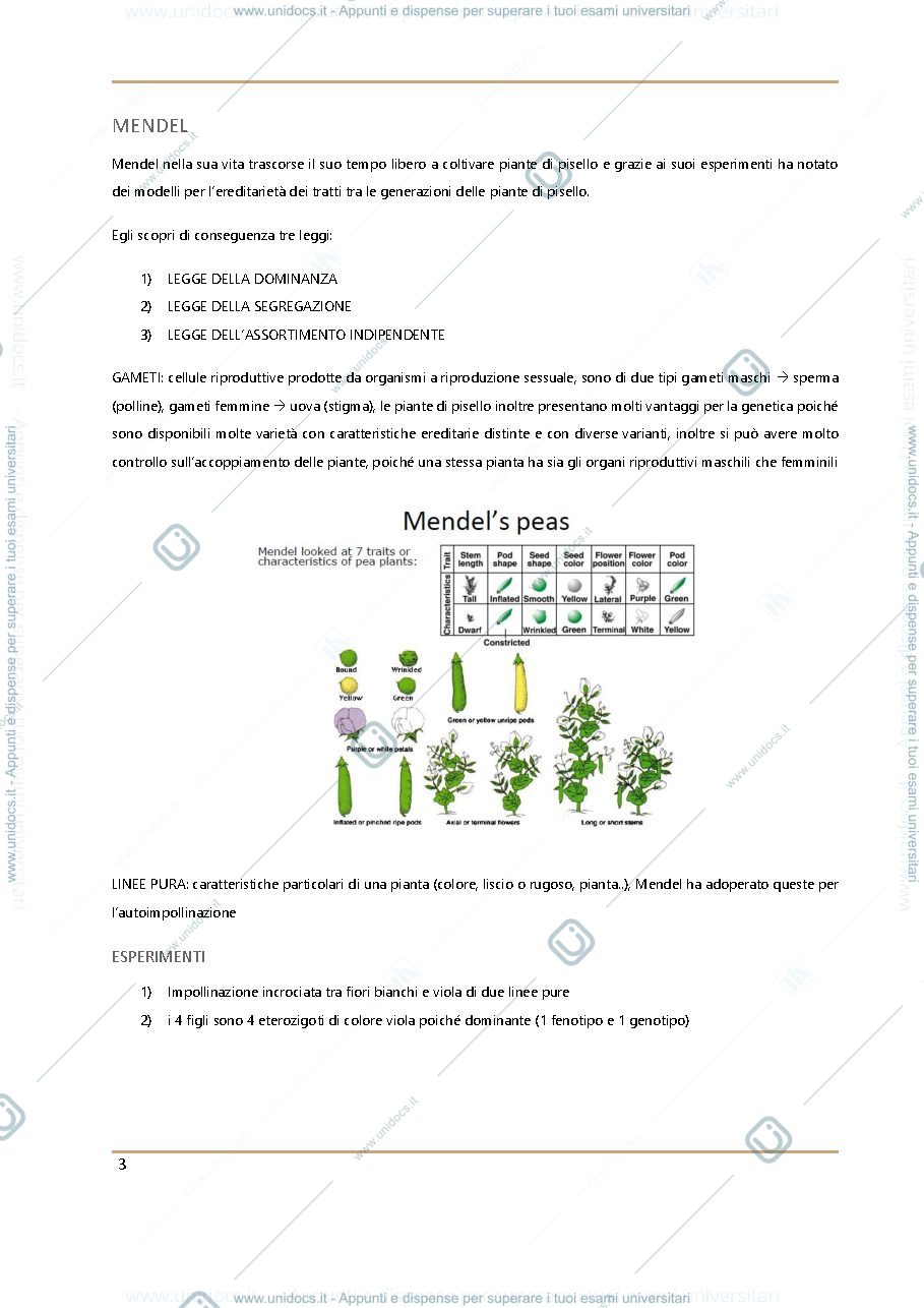 Anteprima pagina 3 — biologia