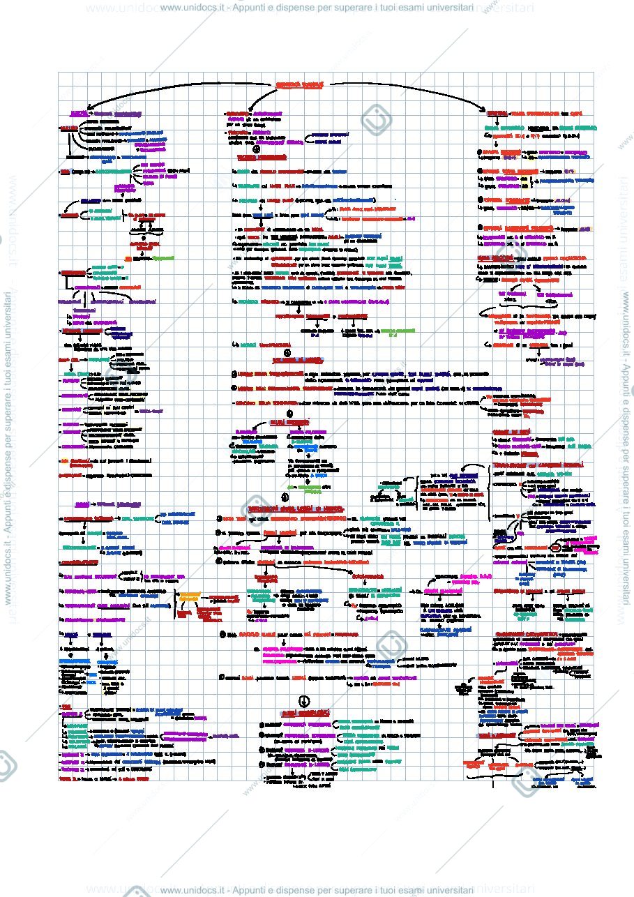 Anteprima pagina 1 — Riassunto genetica formale