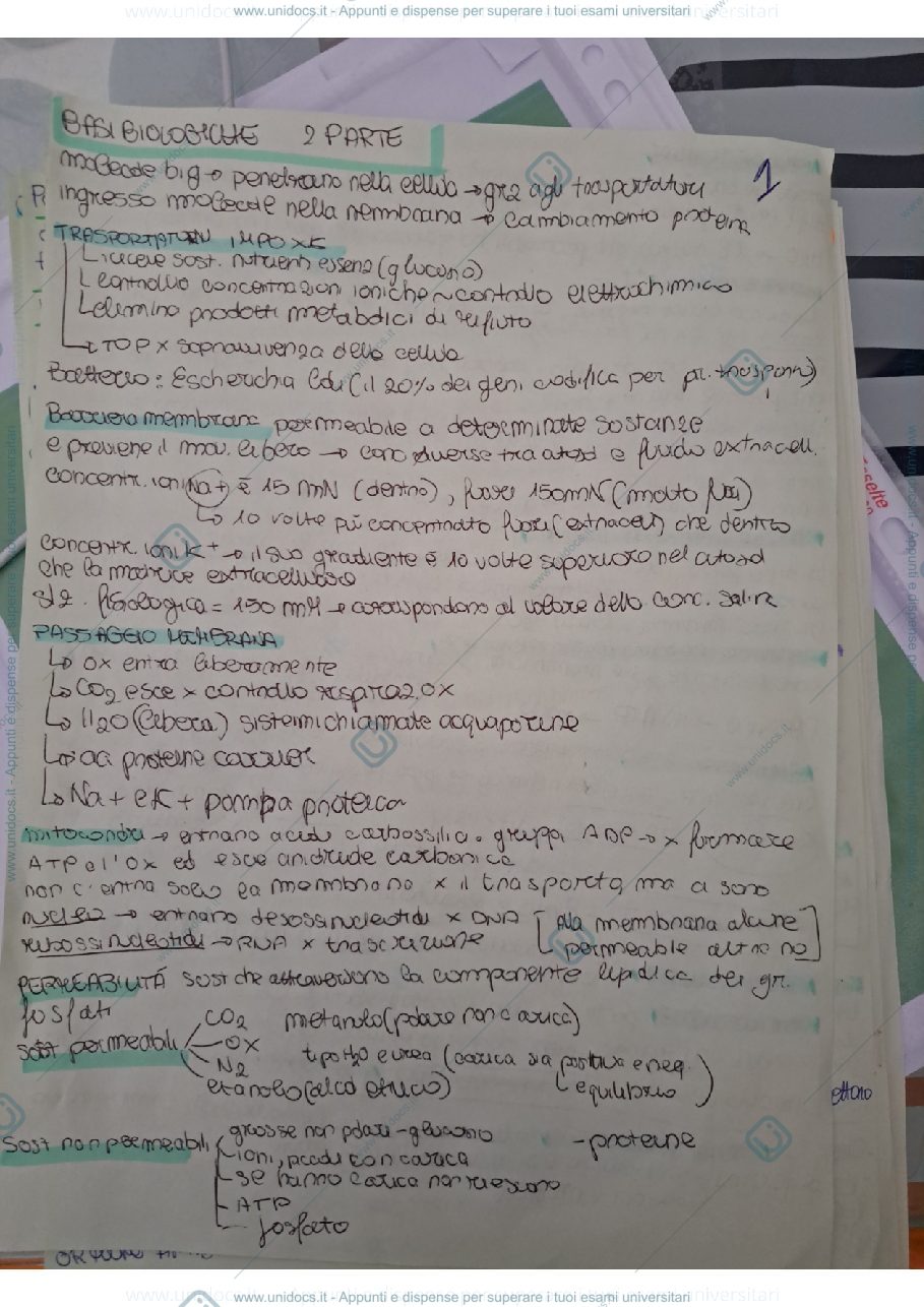 Anteprima pagina 1 — Mappe biologia cellulare 