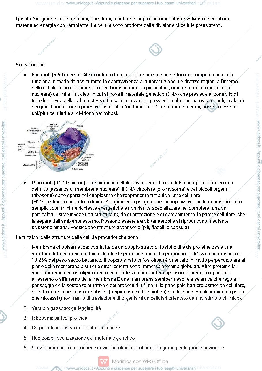 Anteprima pagina 2 — Microbiologia