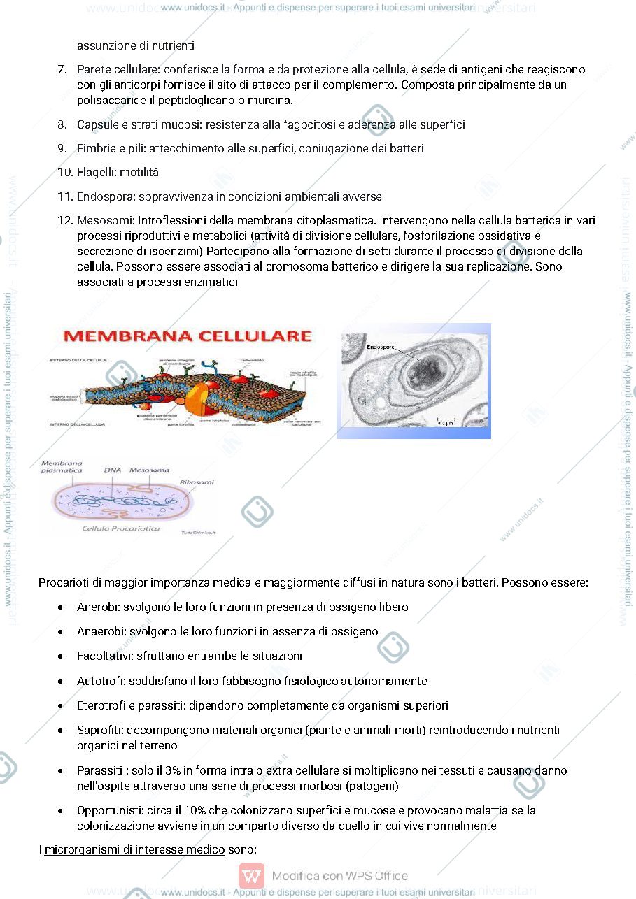 Anteprima pagina 3 — Microbiologia