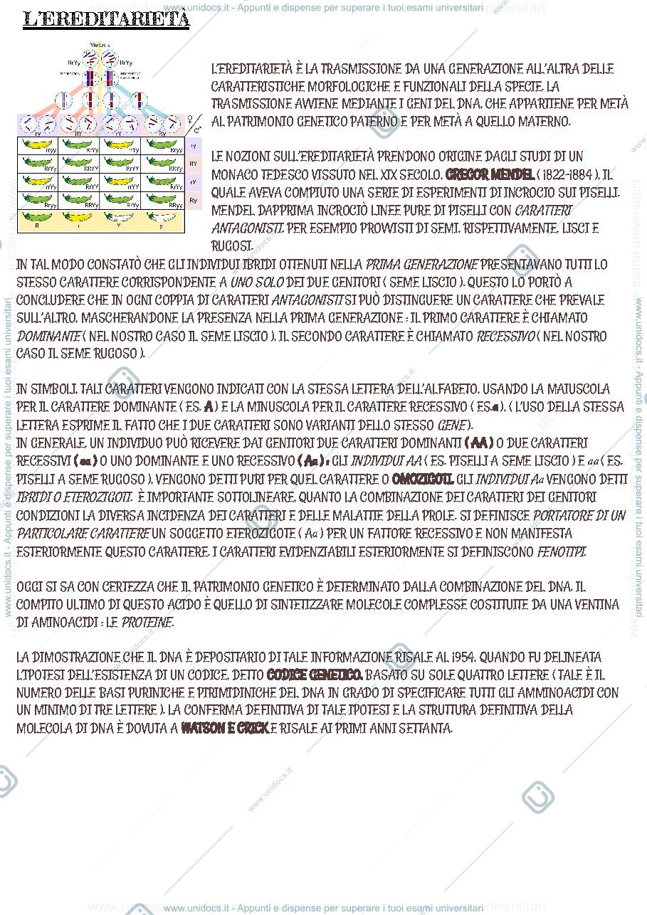 Anteprima pagina 1 — L’ereditarietà
