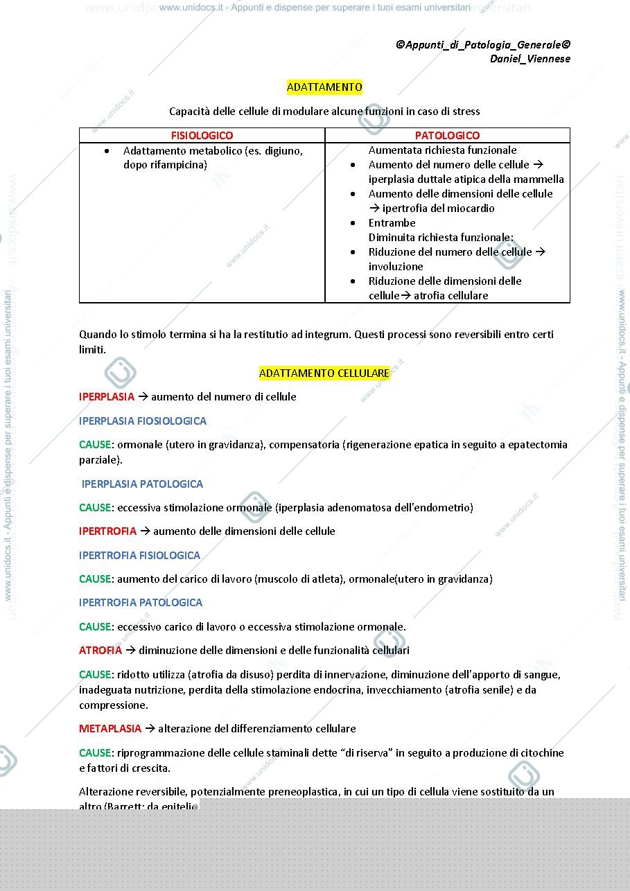 Anteprima pagina 3 — Patologia Generale