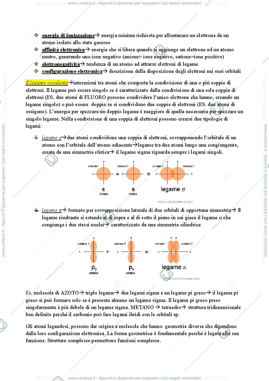 Anteprima pagina 2 — BASI MOLECOLARI DELLA VITA 