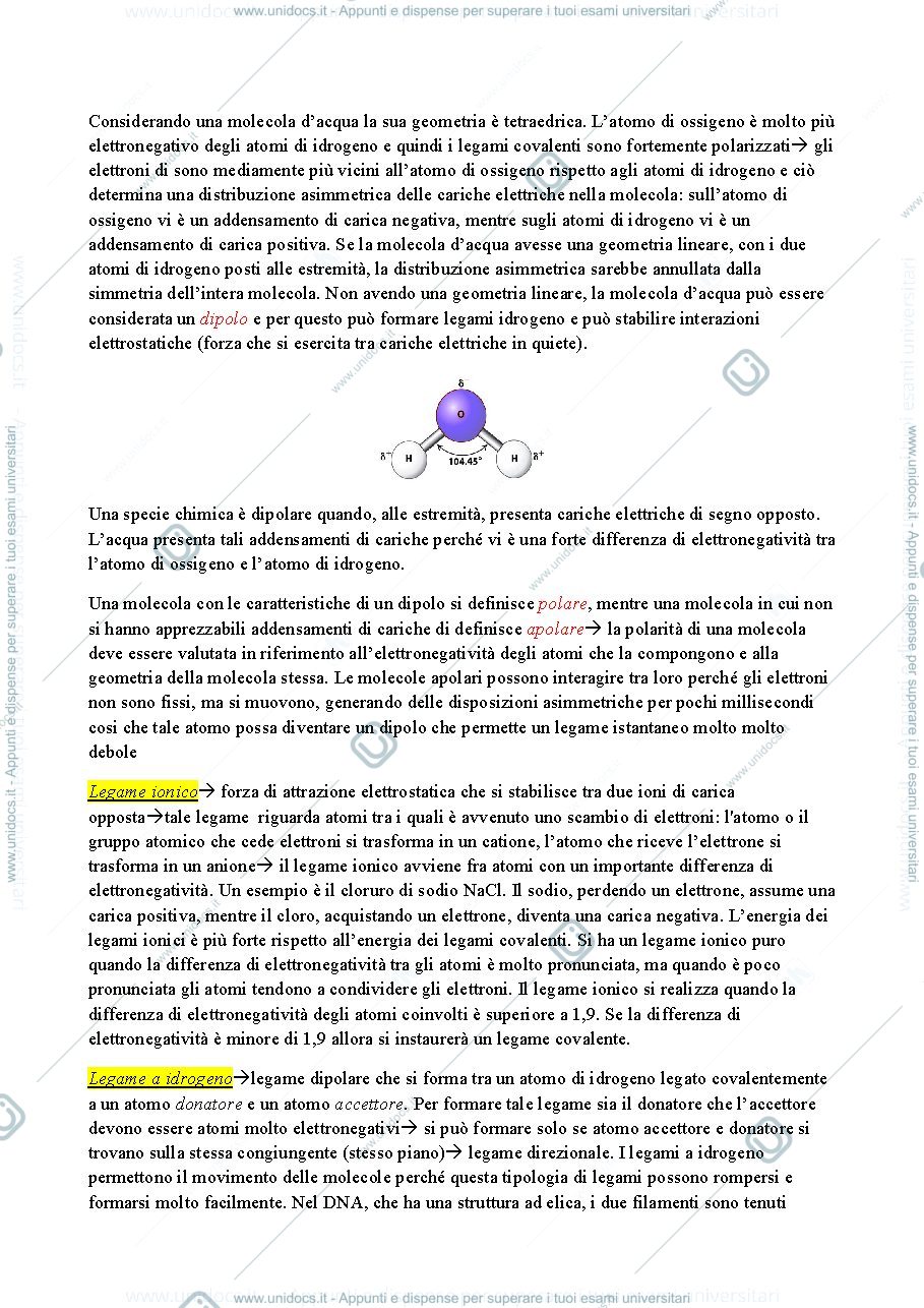 Anteprima pagina 3 — BASI MOLECOLARI DELLA VITA 