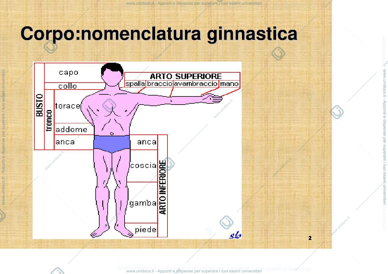 Anteprima pagina 2 — Basi motorie ginnastica